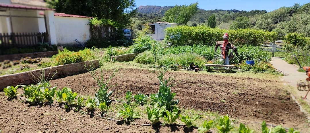 Screenshot_2025-05-21-21-23-23-067_com.miui.gallery-edit