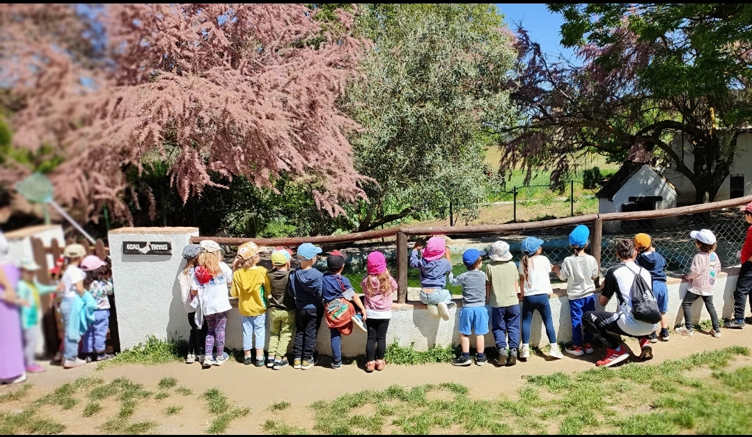 Screenshot_2025-05-21-22-08-30-621_com.miui.gallery-edit