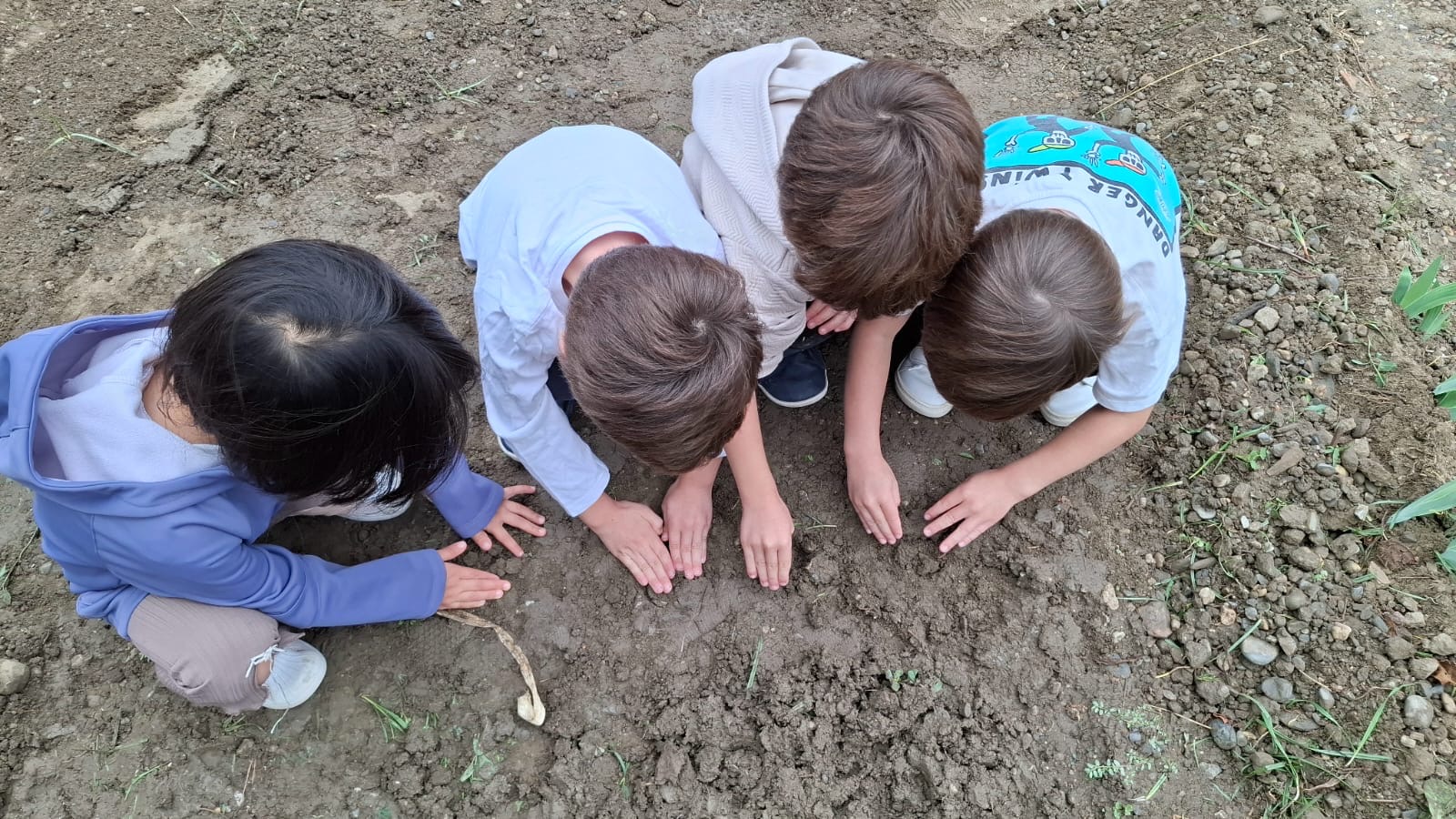 12302008-a806-425e-8e70-d958a01a822d