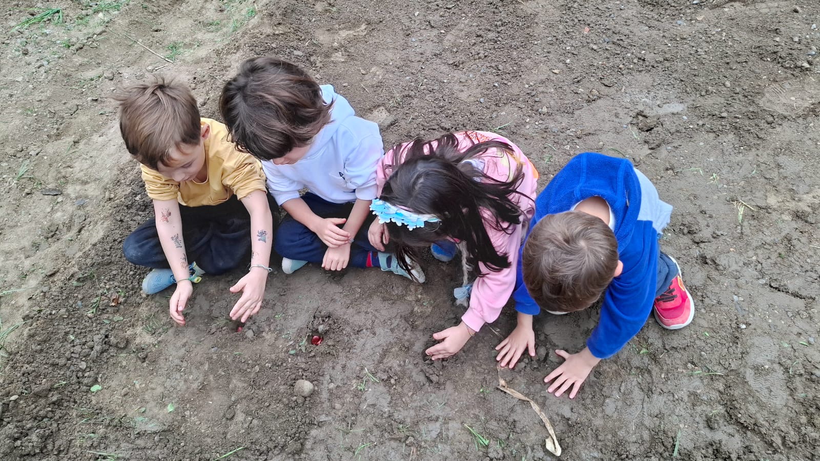 21dcafd6-6eab-4064-973f-74da10eb13b8