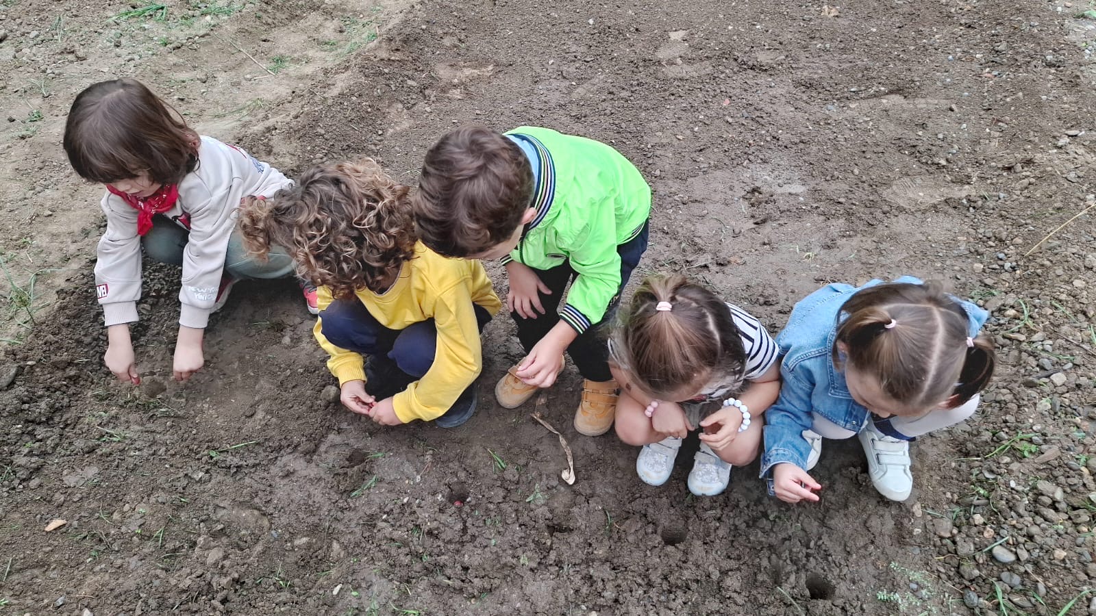 5504e14c-fe98-416f-bb36-11607a571f86