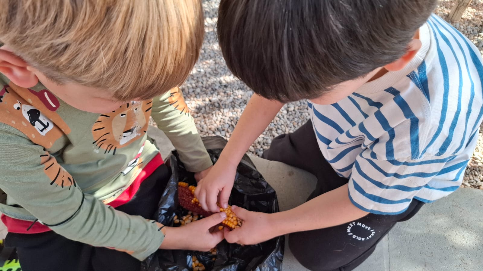 IMG-20251030-WA0074 IMG-20251030-WA0074