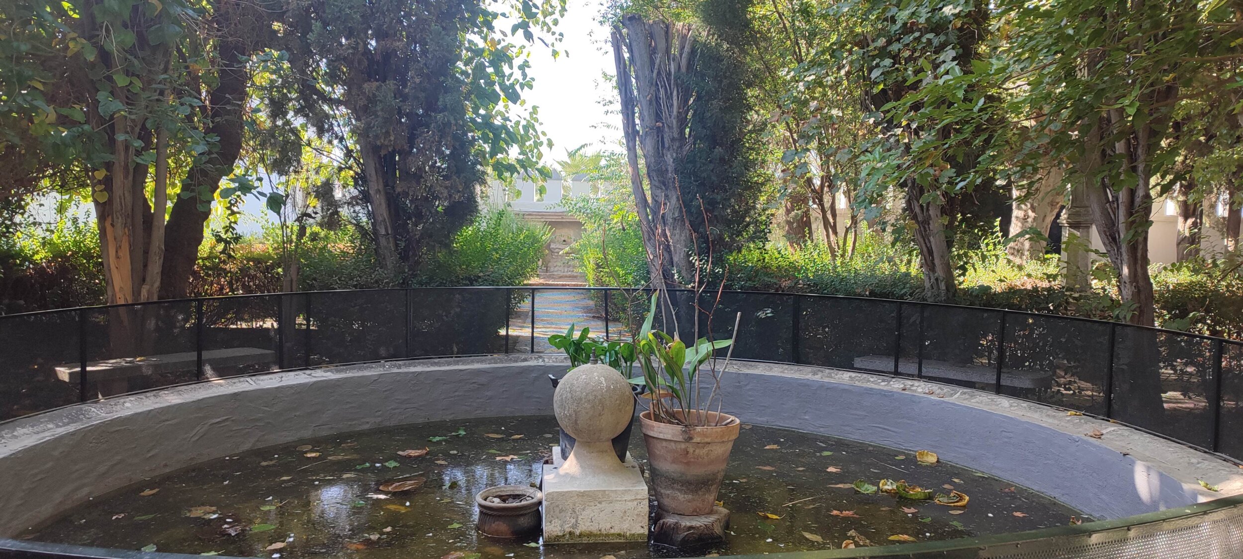 IMG_20251017_112624 IMG_20251017_112624