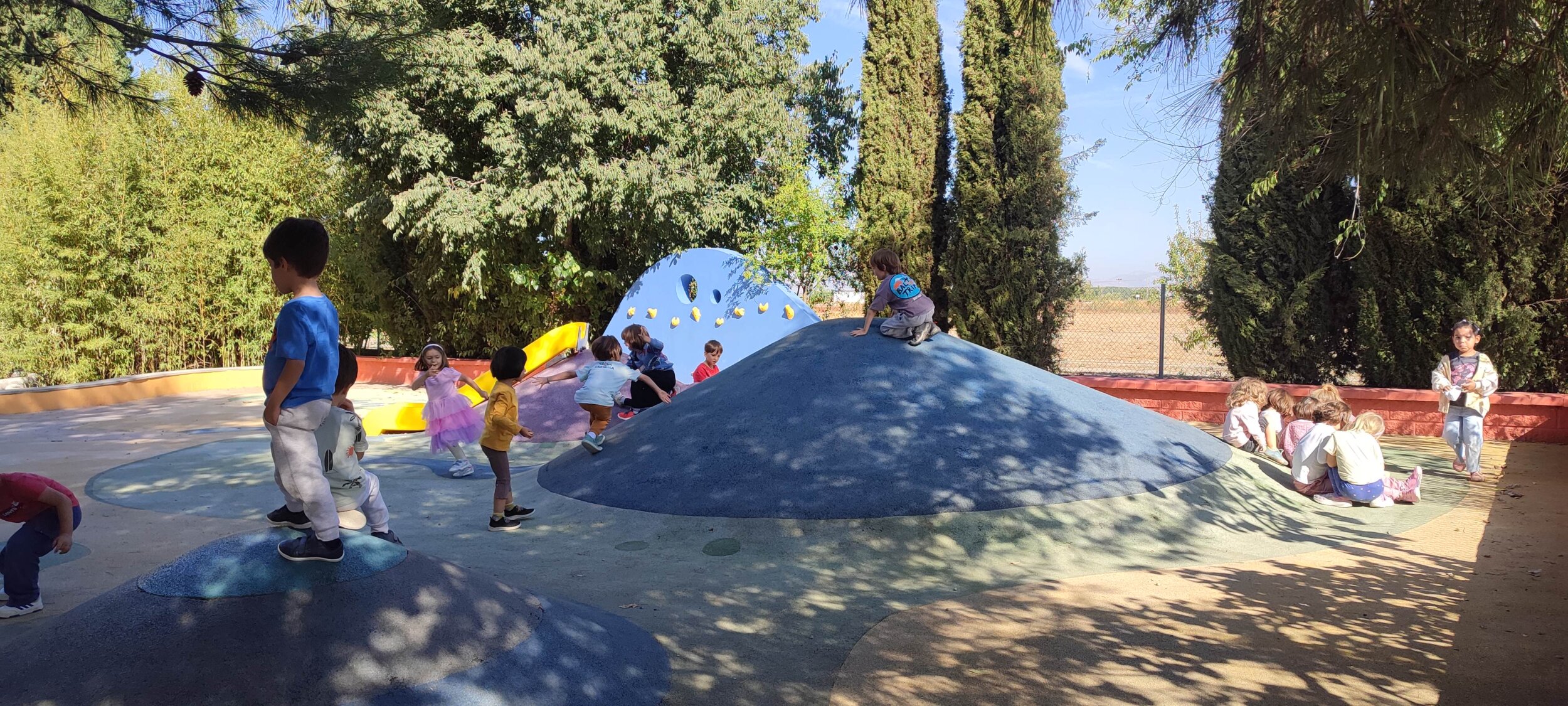 IMG_20251017_114905 IMG_20251017_114905