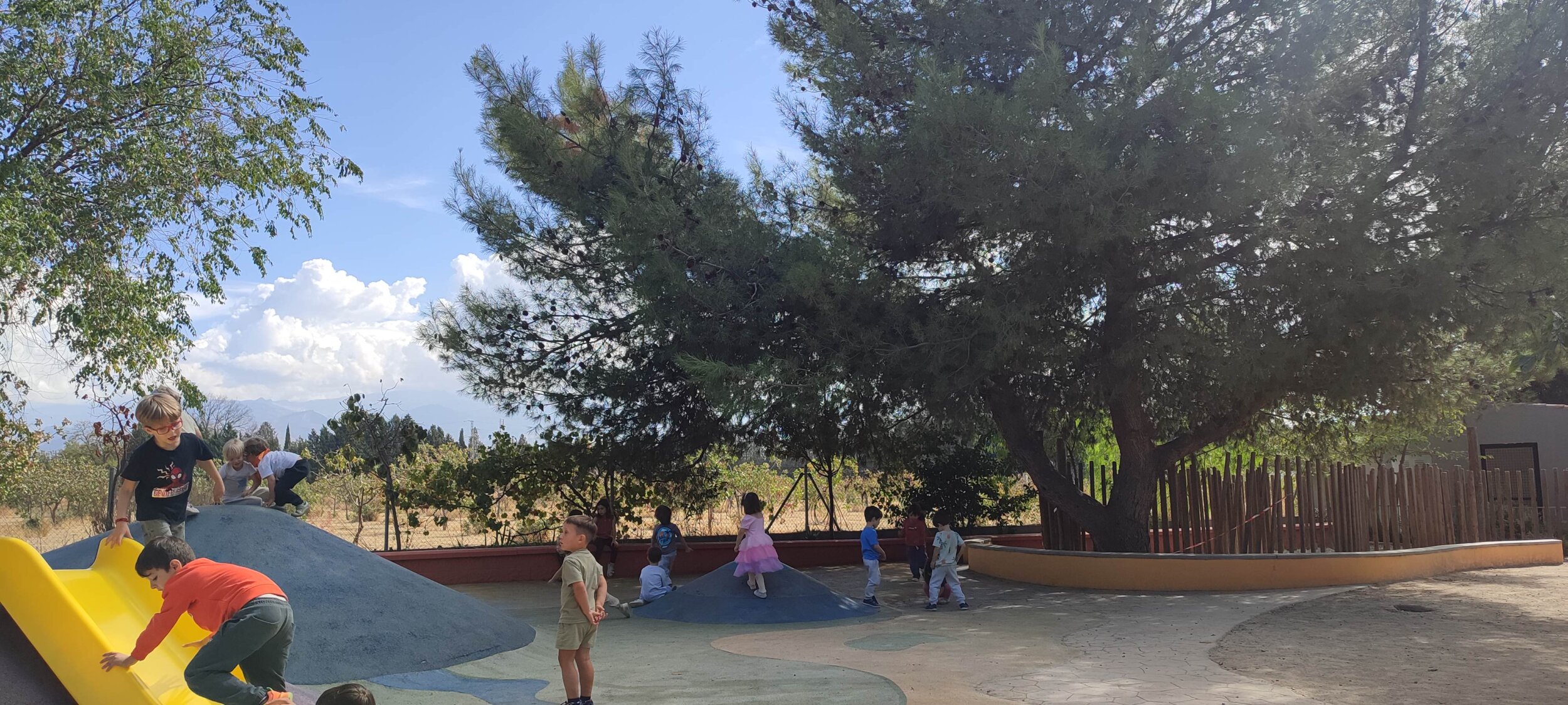 IMG_20251017_135838 IMG_20251017_135838