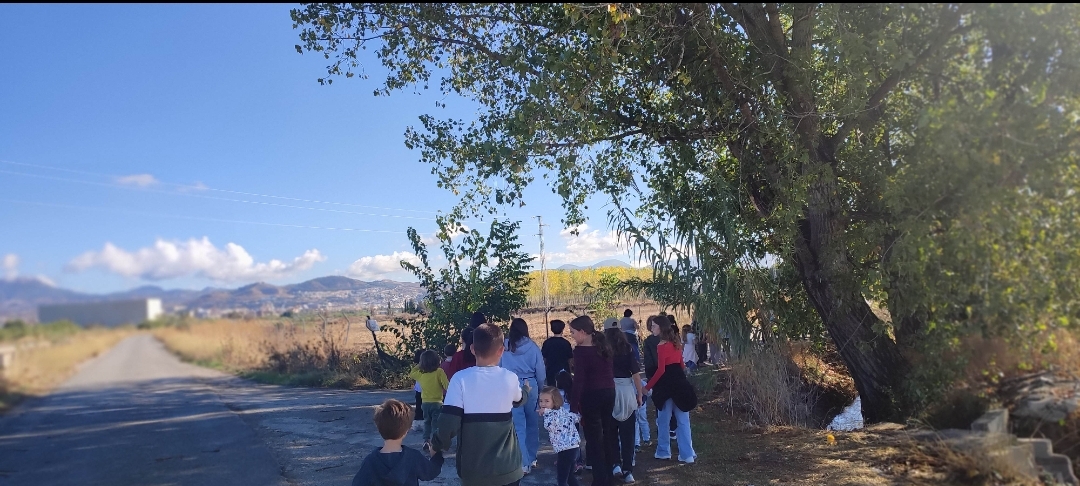 Screenshot_2025-10-31-00-19-11-353_com.miui.gallery-edit