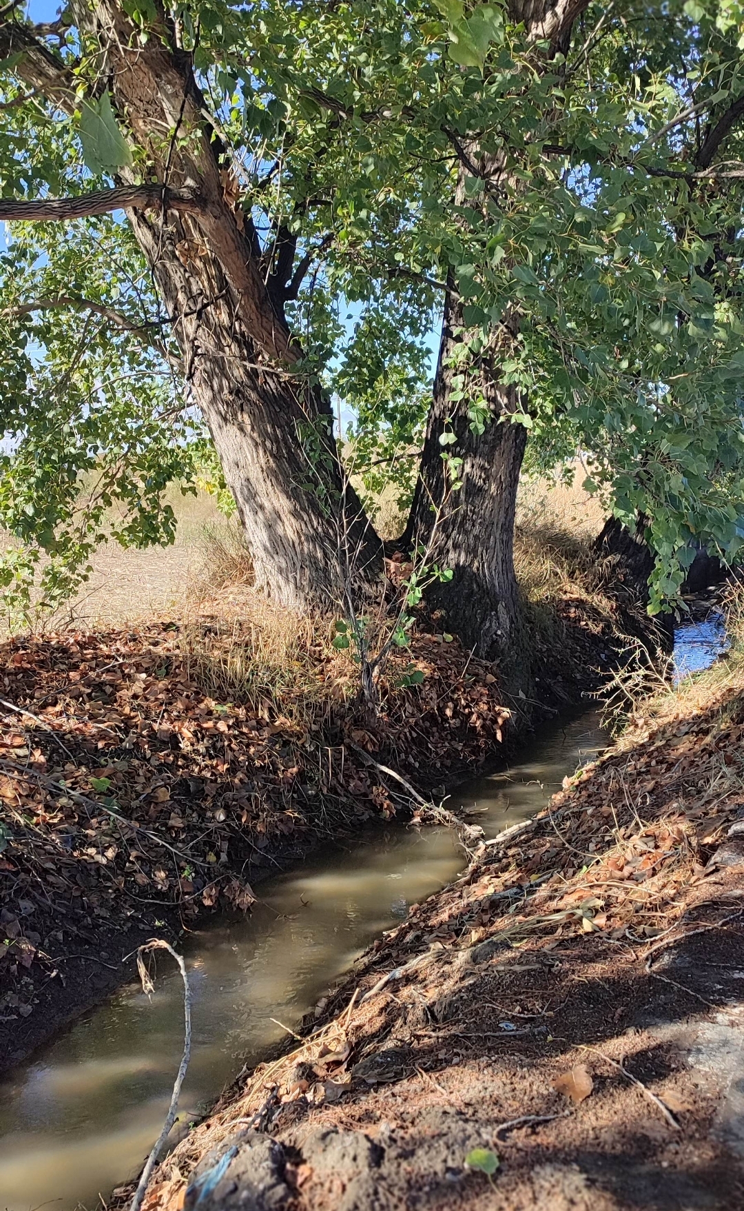 Screenshot_2025-10-31-10-08-01-883_com.miui.gallery-edit