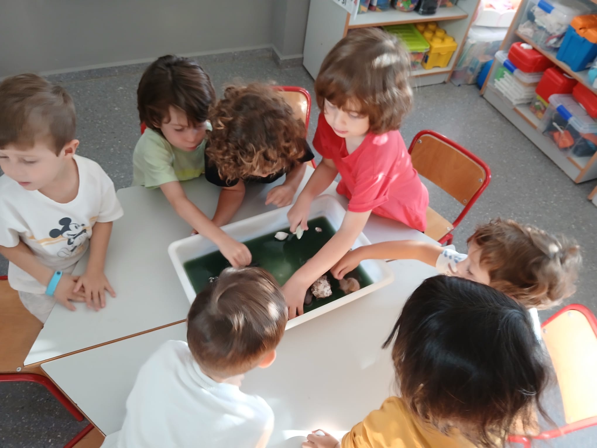 b39d550f-c2ea-4cd3-8188-856e126b0361