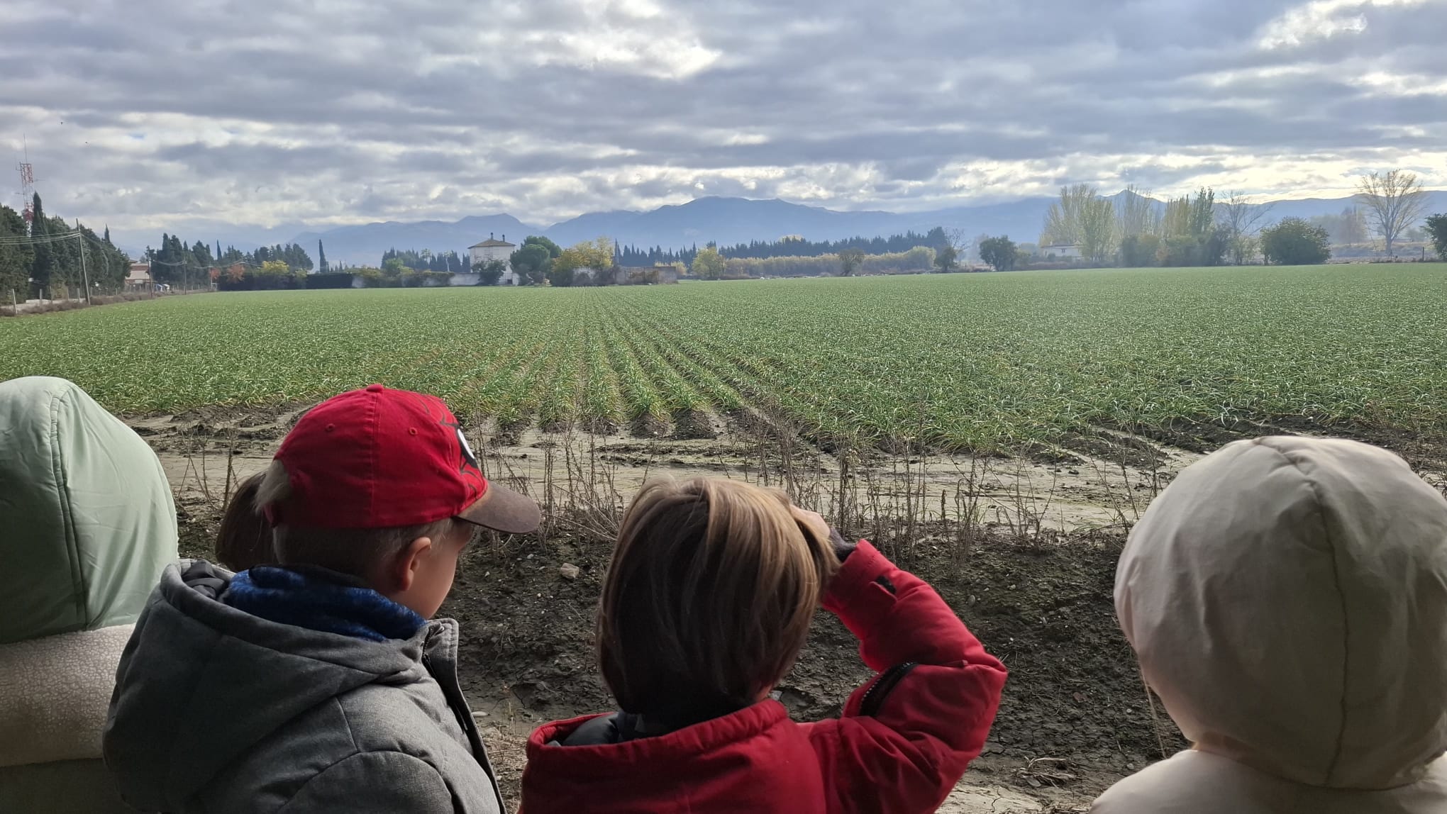 IMG-20251208-WA0018 IMG-20251208-WA0018