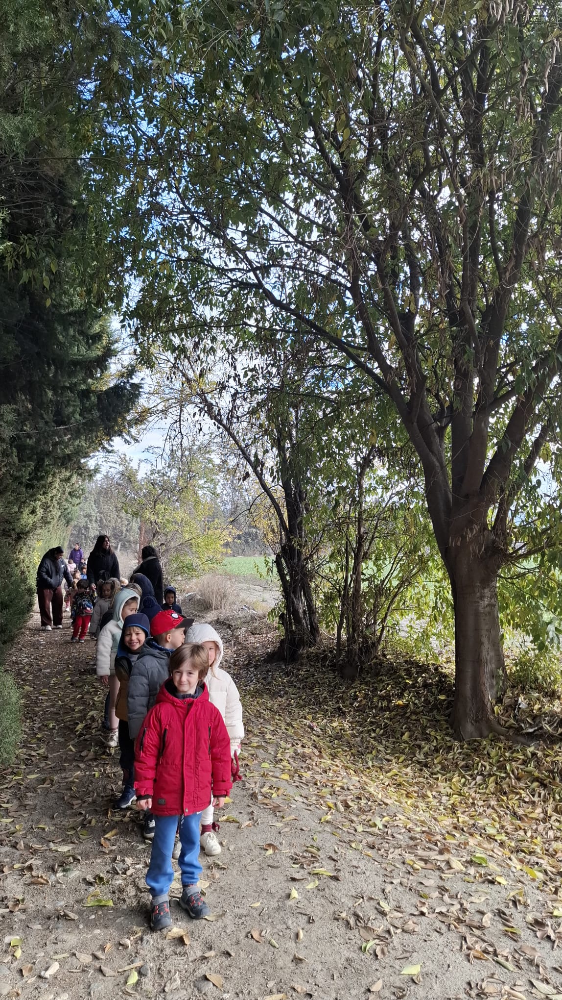 IMG-20251208-WA0019 IMG-20251208-WA0019