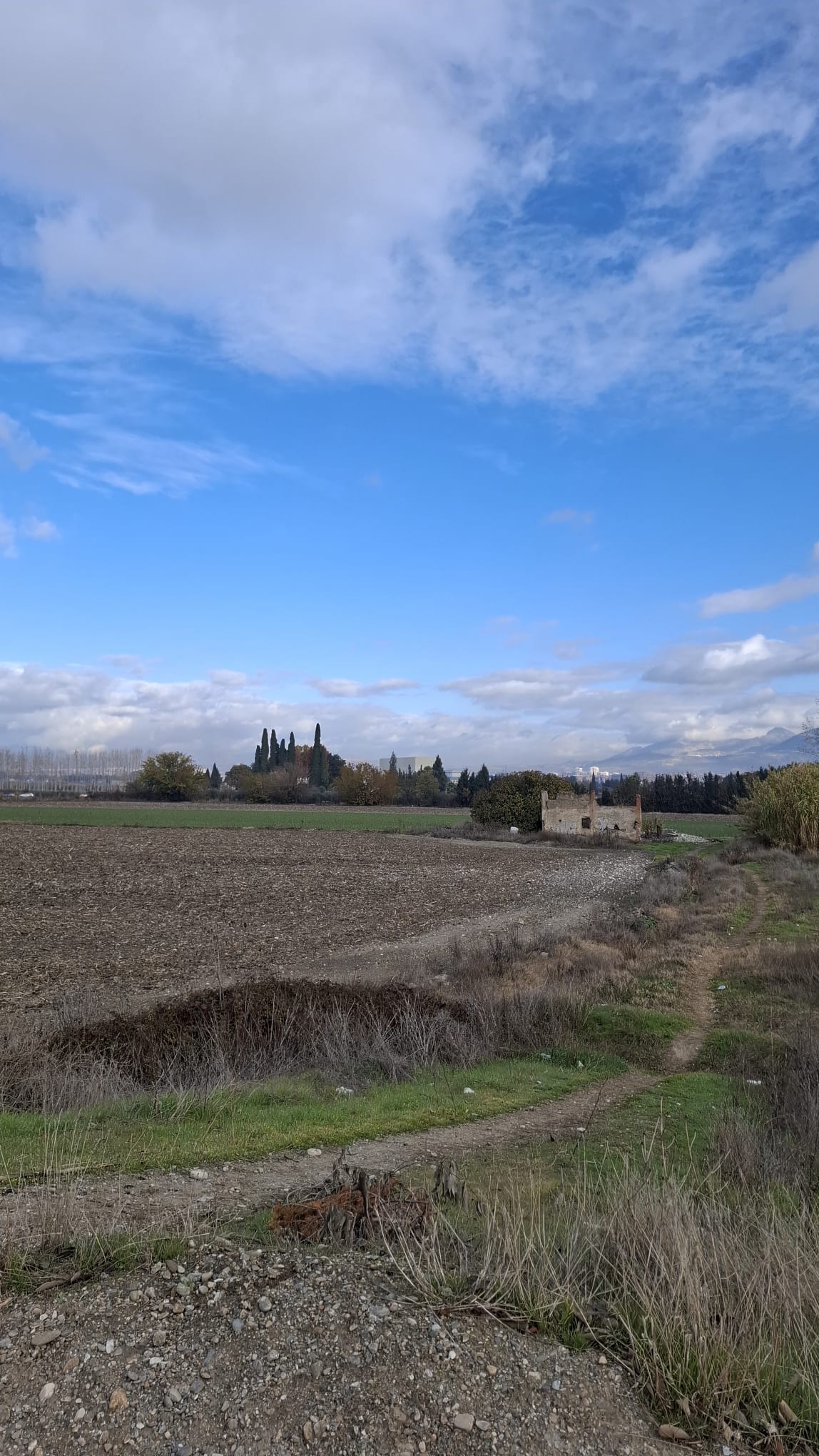 IMG-20251208-WA0024 IMG-20251208-WA0024