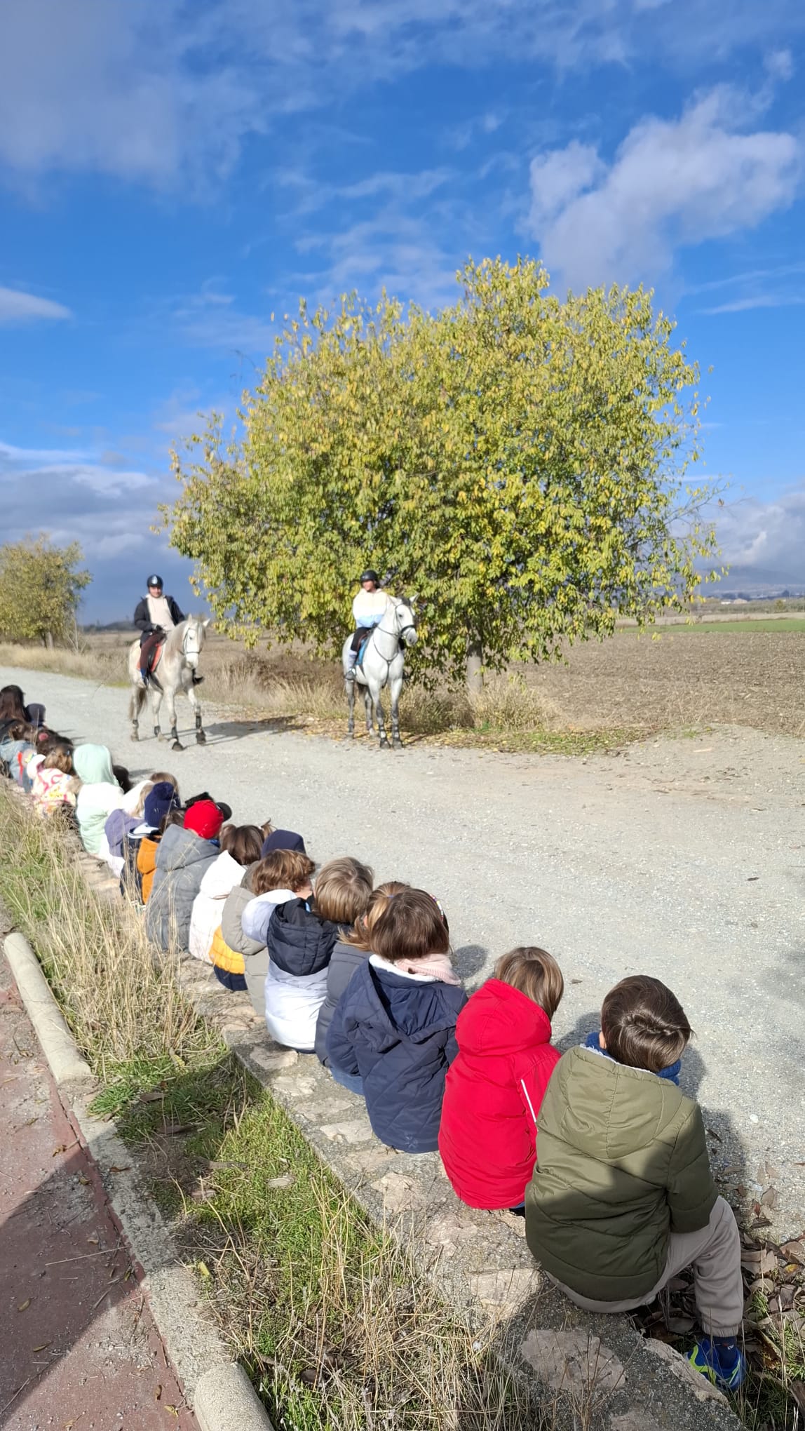 IMG-20251208-WA0025 IMG-20251208-WA0025