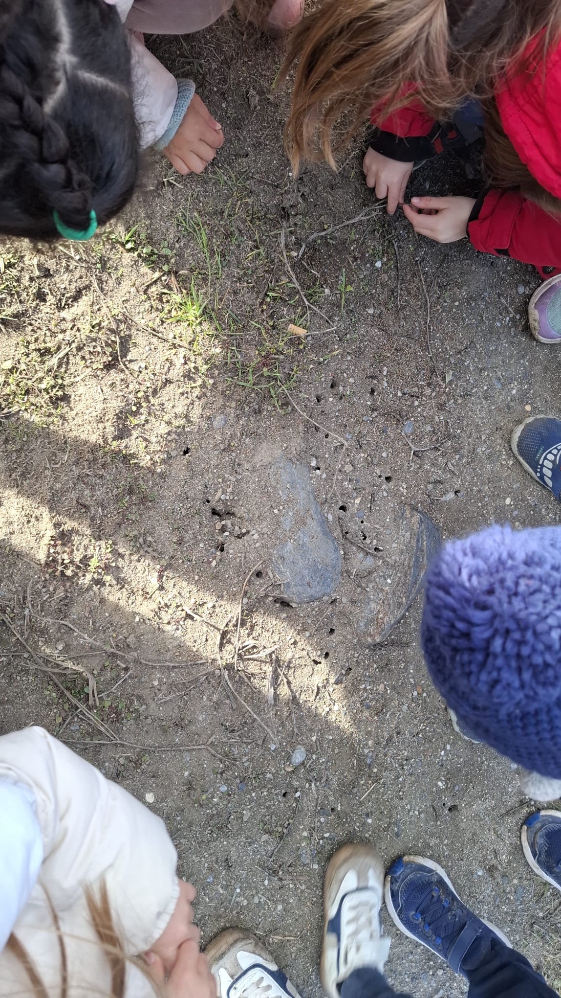 IMG-20251208-WA0027 IMG-20251208-WA0027