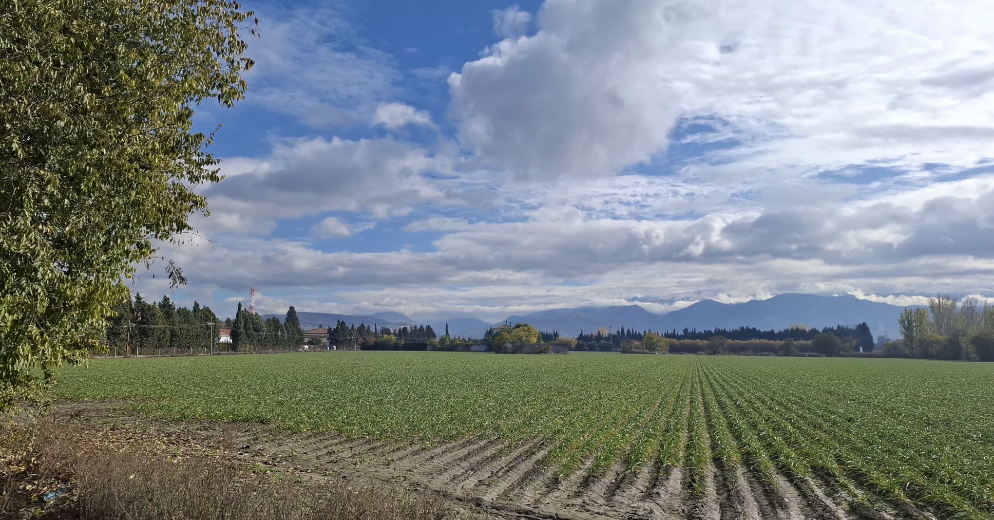 IMG-20251208-WA0028 IMG-20251208-WA0028