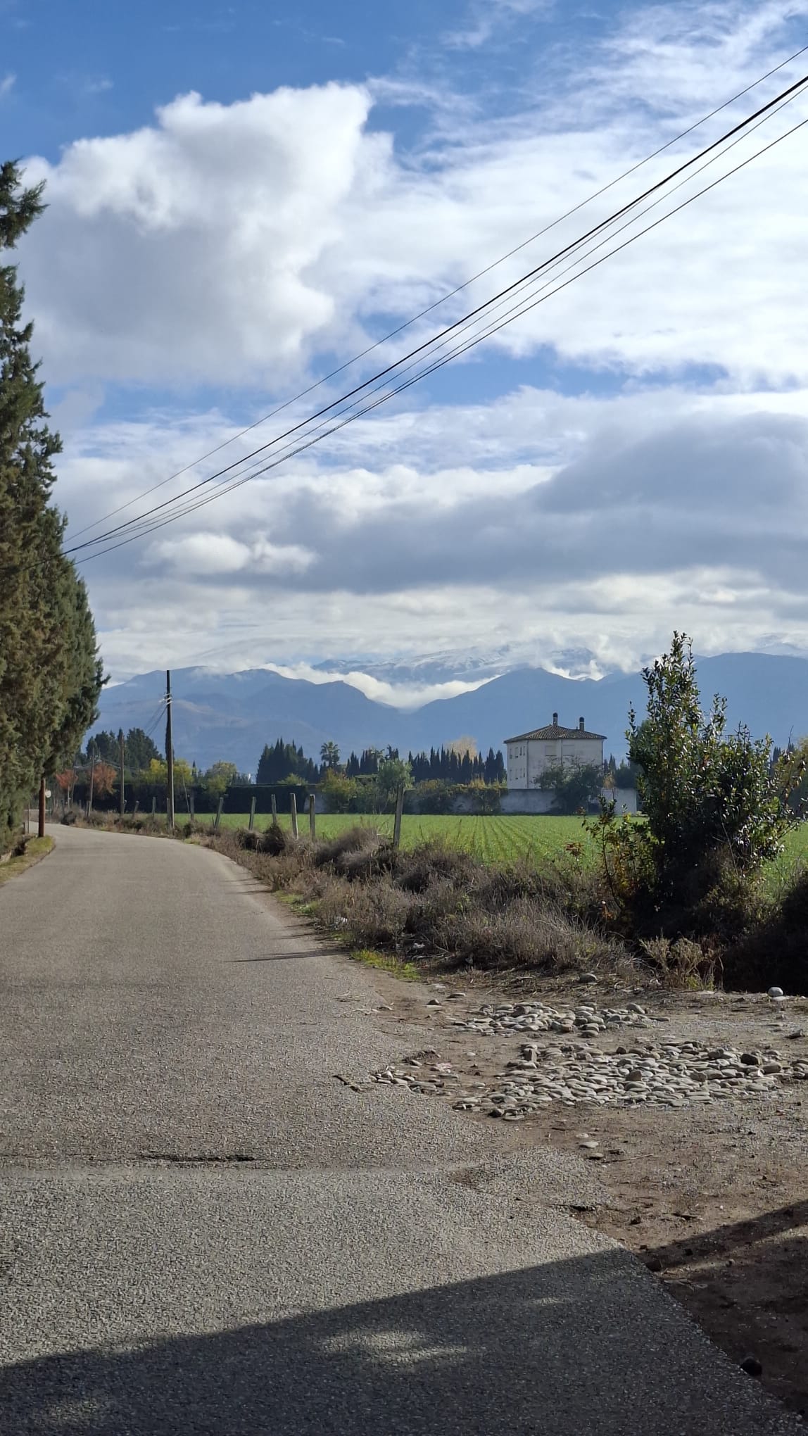 IMG-20251208-WA0031 IMG-20251208-WA0031