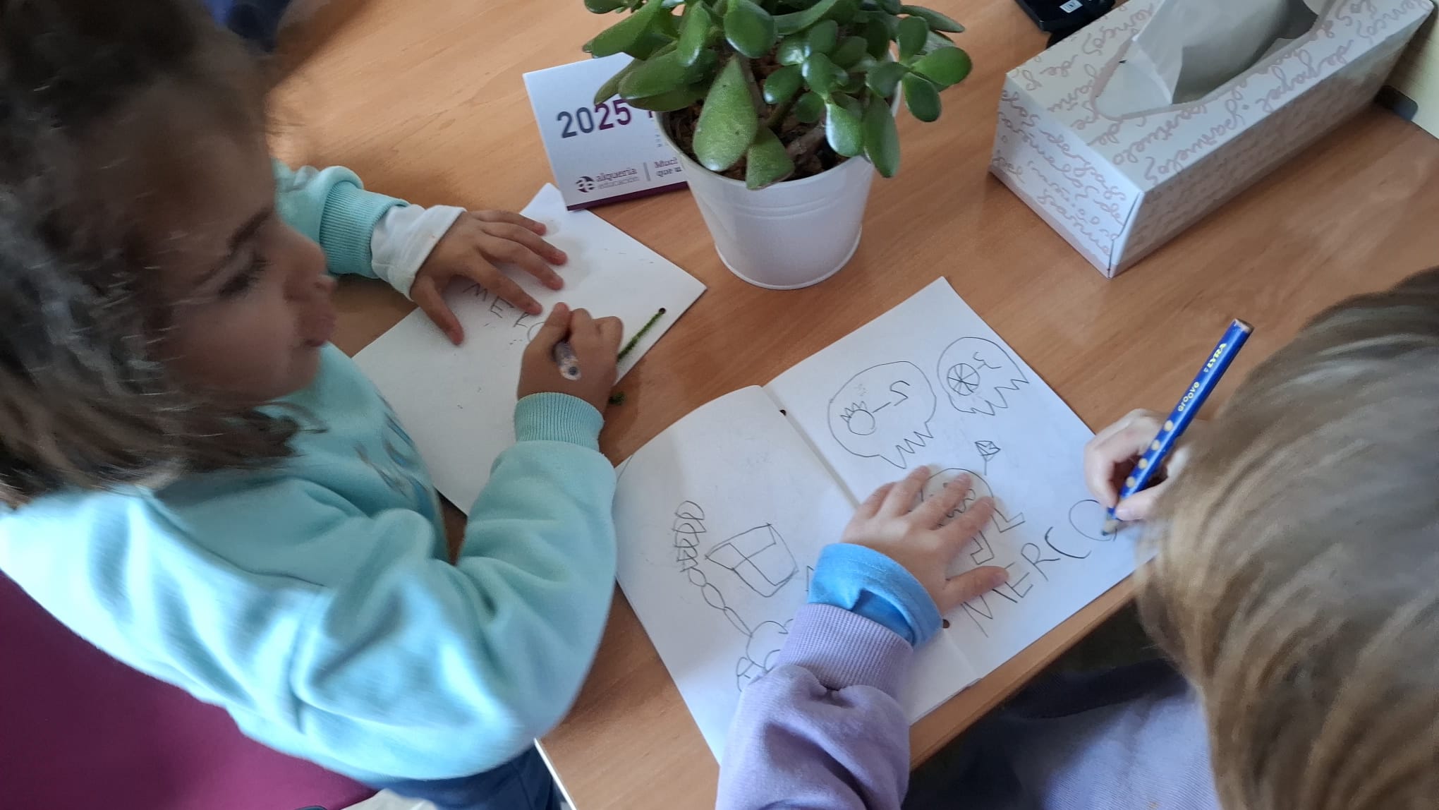 IMG-20251209-WA0003 IMG-20251209-WA0003