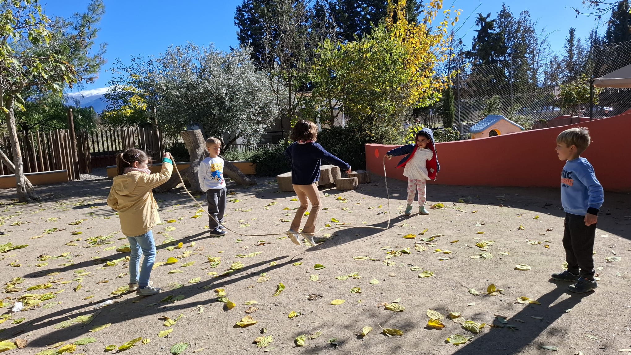 IMG-20251209-WA0026 IMG-20251209-WA0026