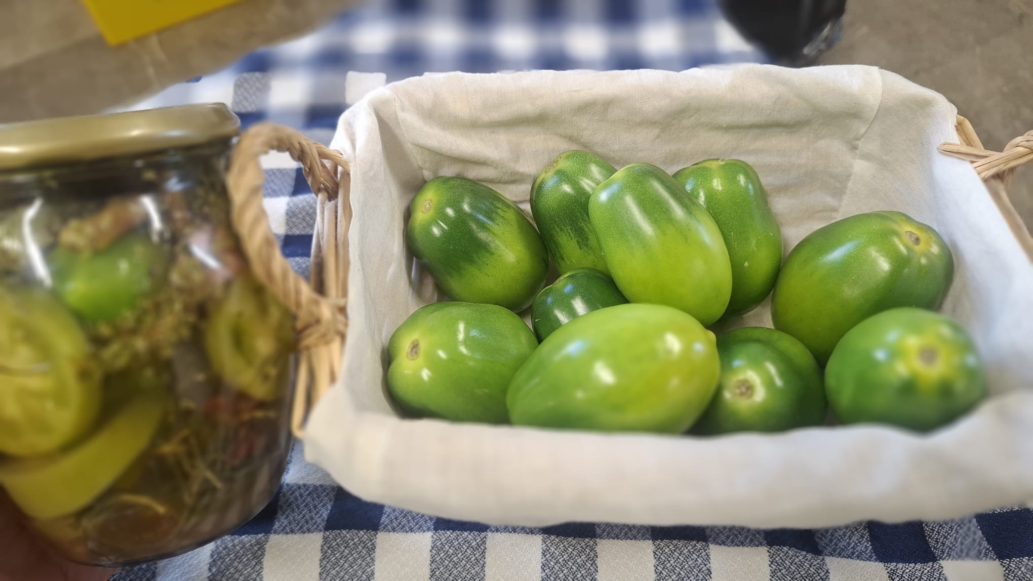 IMG-20251211-WA0016 IMG-20251211-WA0016