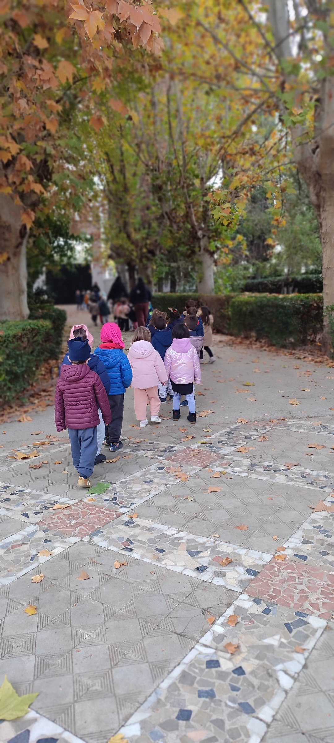 Screenshot_2025-12-03-21-39-21-909_com.miui.gallery