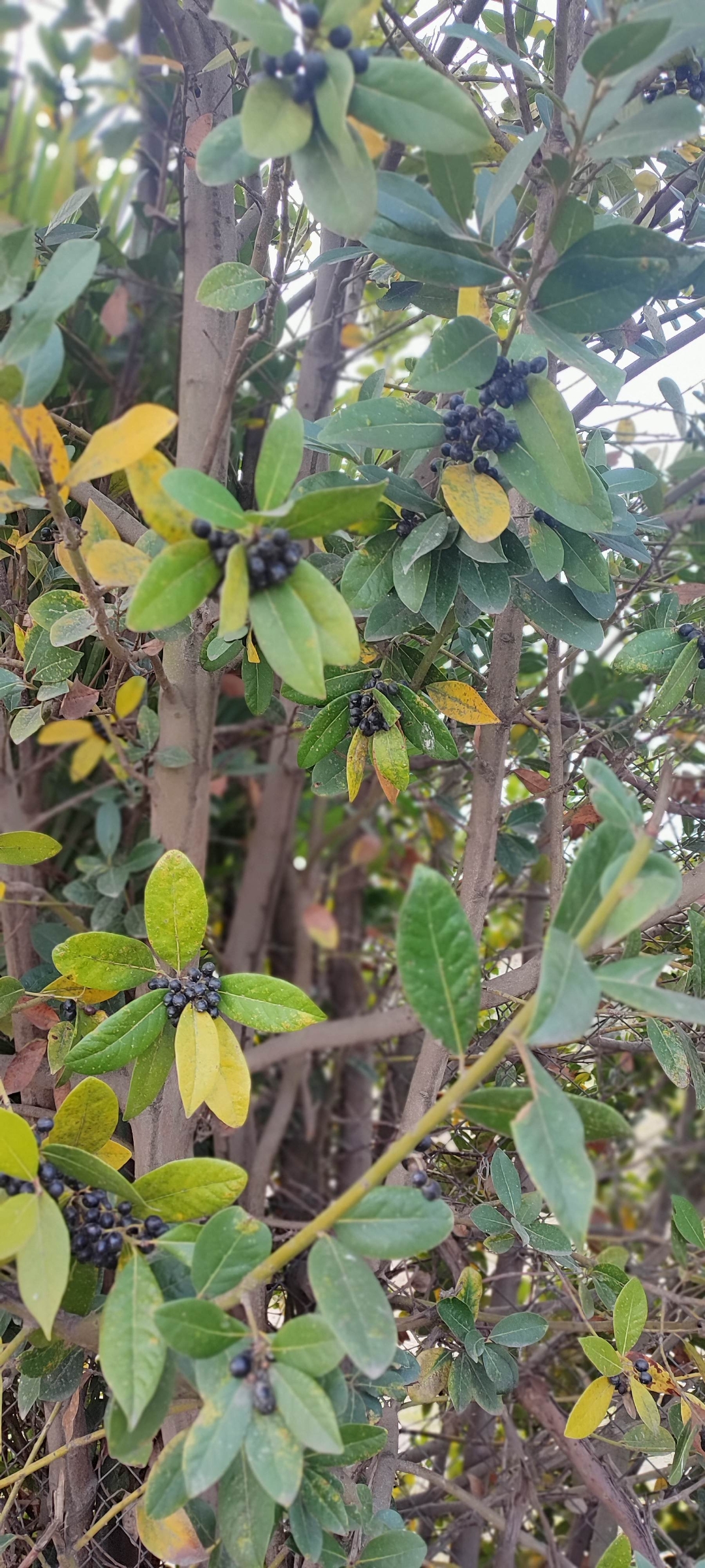 Screenshot_2025-12-03-21-39-38-236_com.miui.gallery