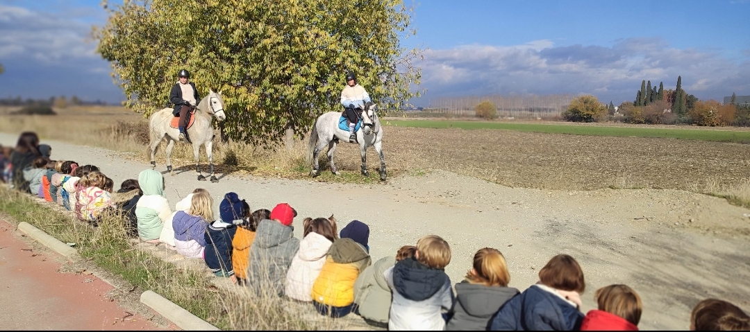 Screenshot_2025-12-03-21-41-19-576_com.miui.gallery-edit