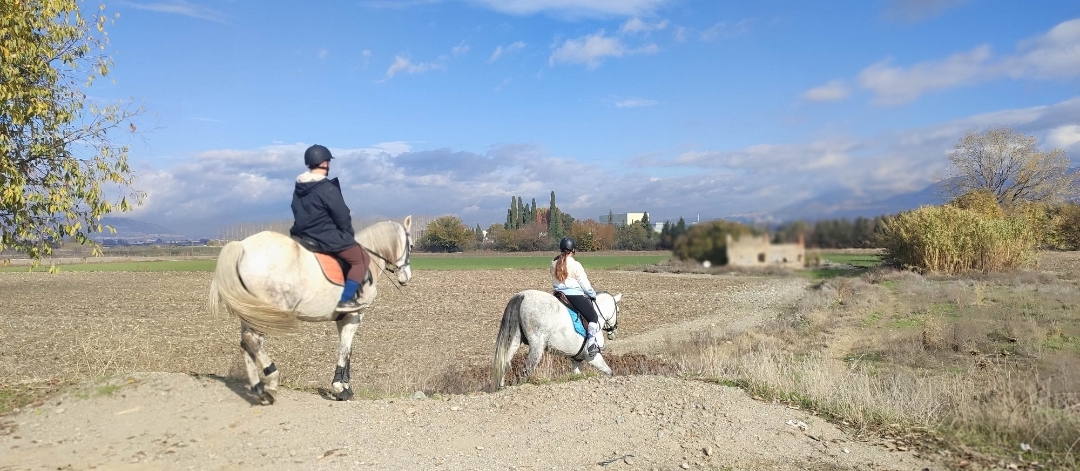 Screenshot_2025-12-03-21-41-31-036_com.miui.gallery-edit