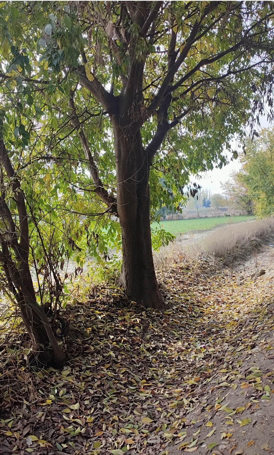 Screenshot_2025-12-03-21-45-24-093_com.miui.gallery-edit