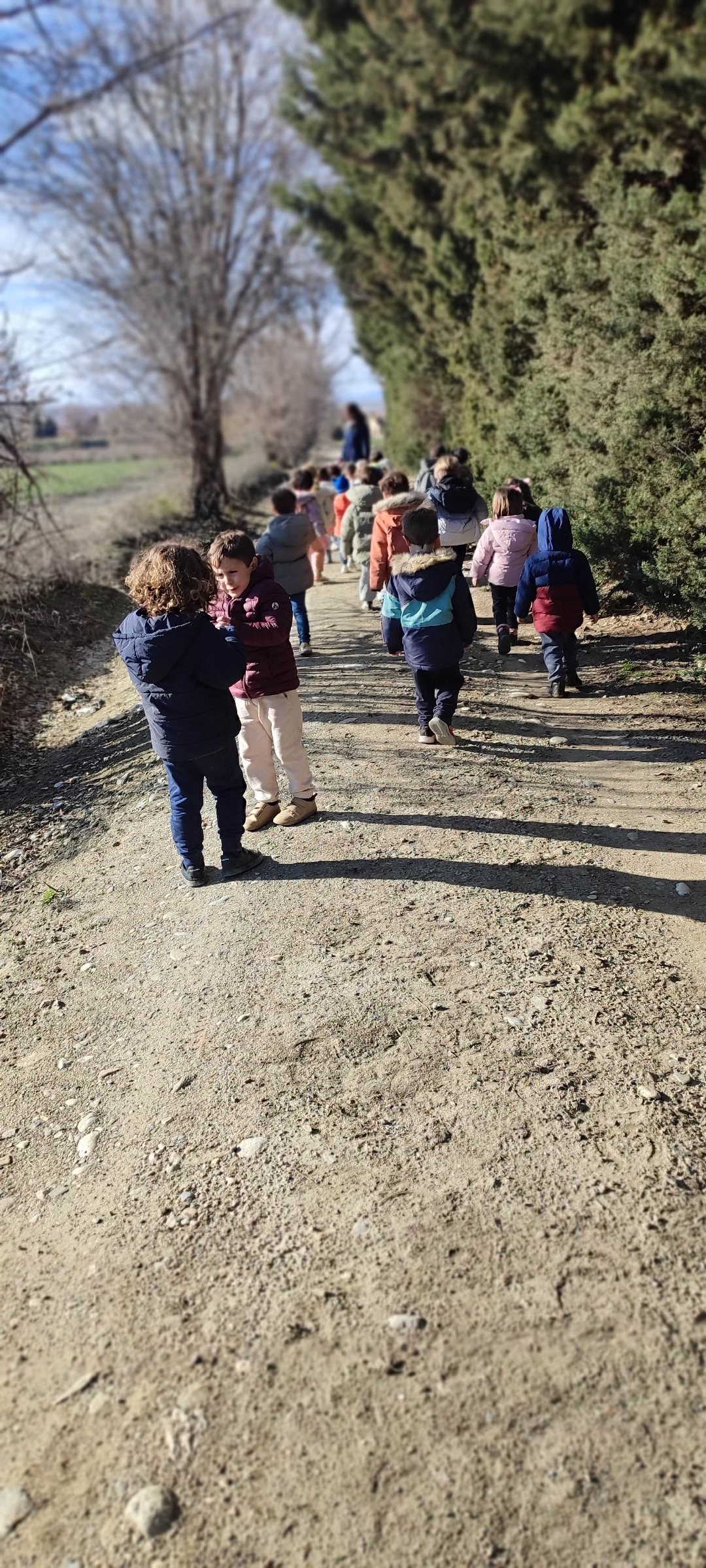 Screenshot_2026-01-16-00-15-38-404_com.miui.gallery