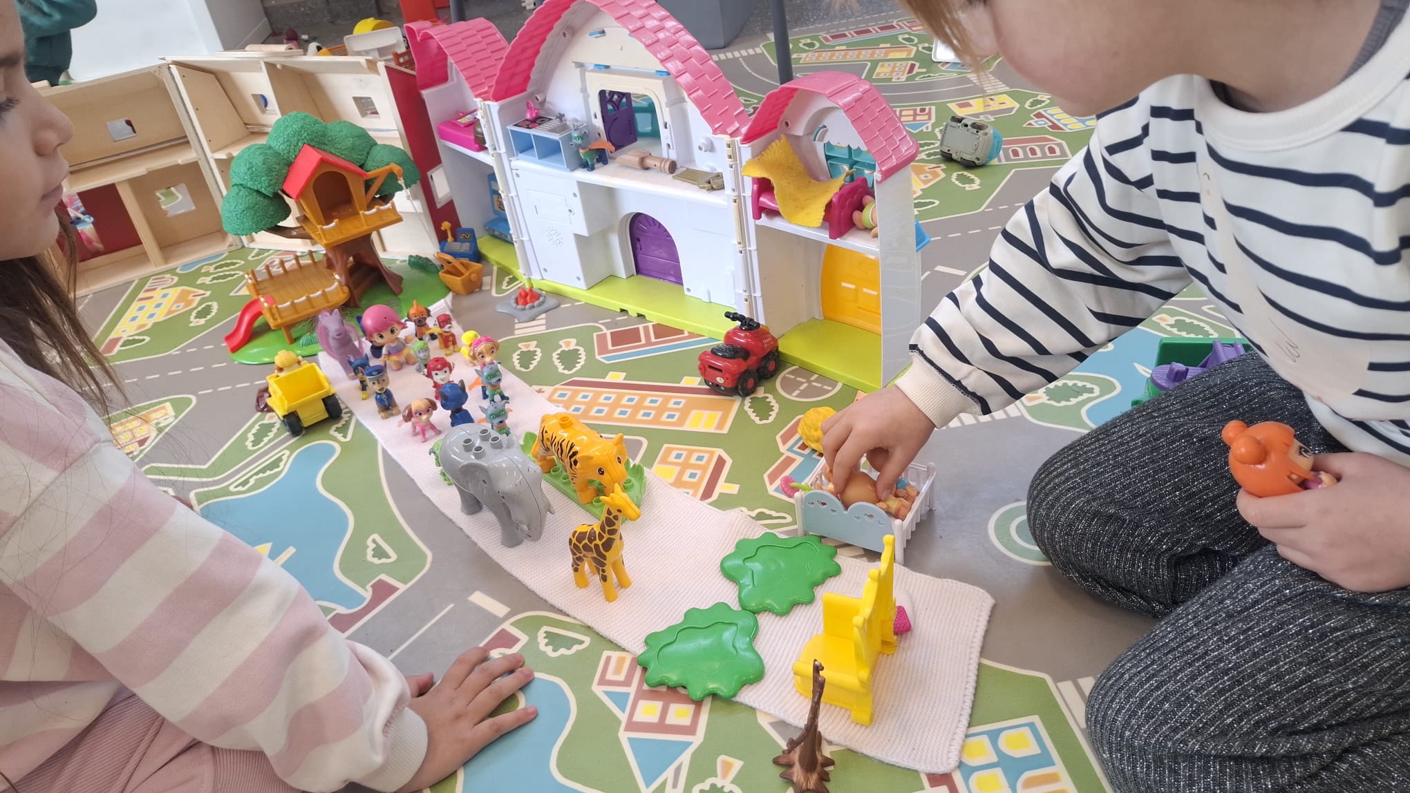 IMG-20260202-WA0018 IMG-20260202-WA0018