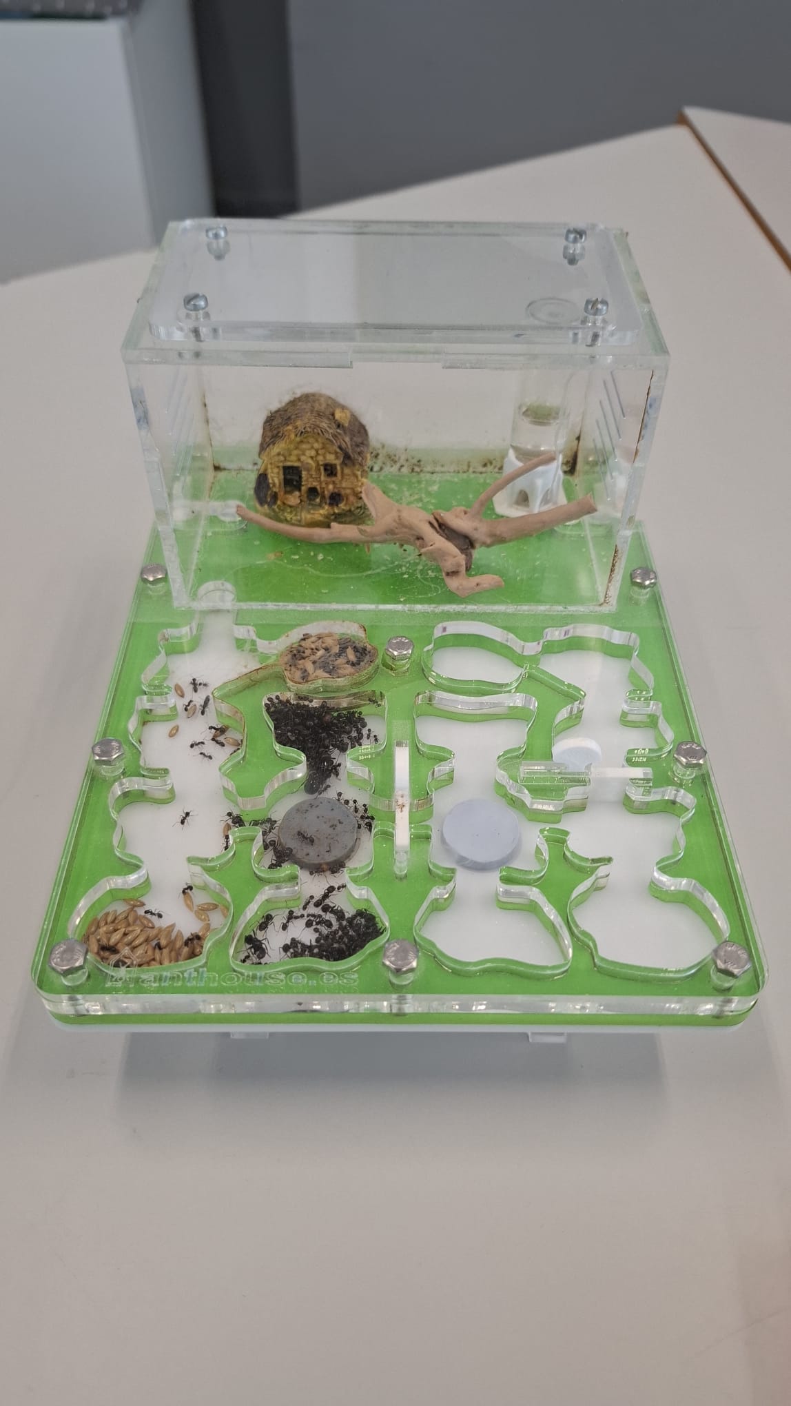 IMG-20260212-WA0054 IMG-20260212-WA0054