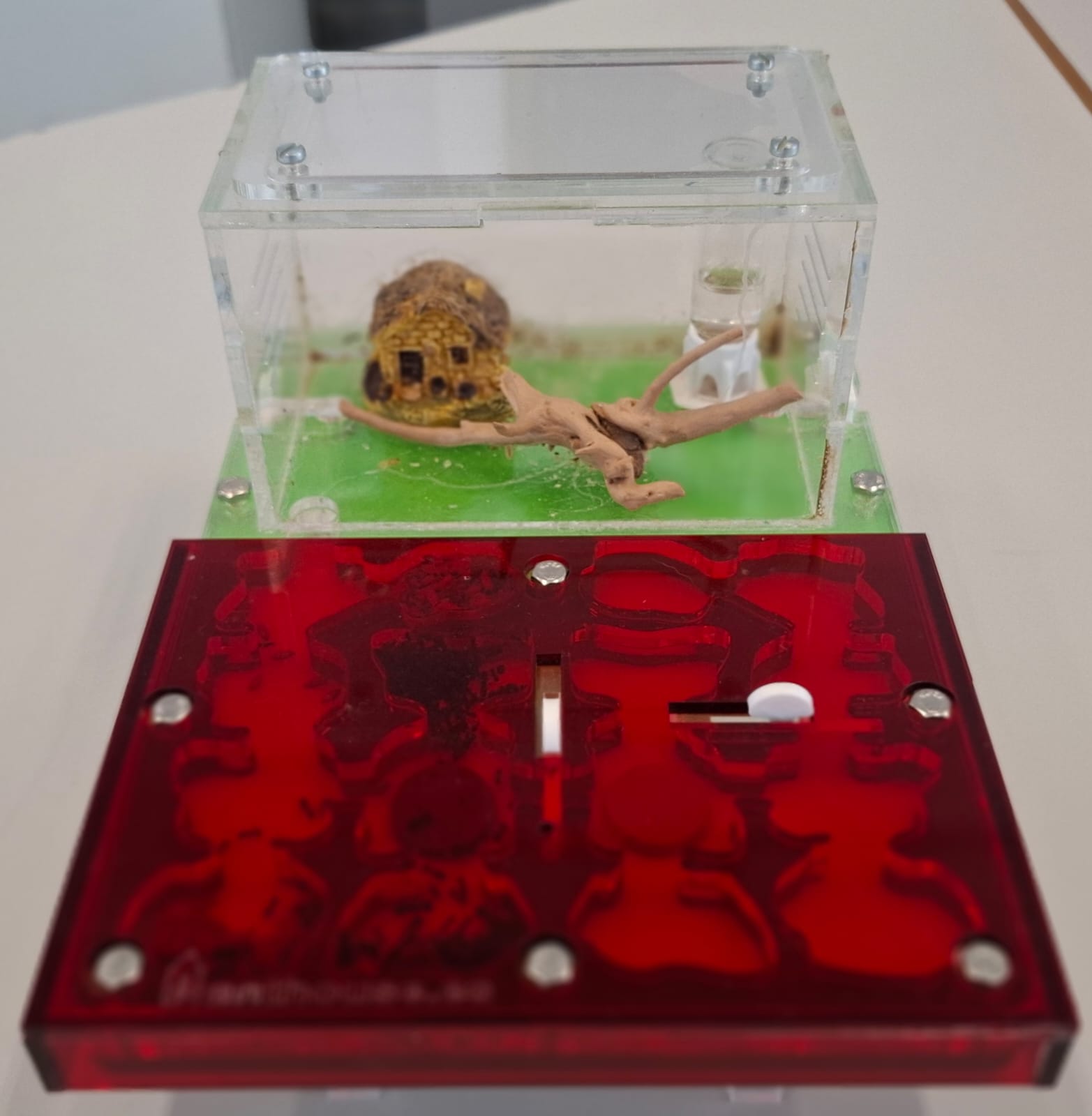 IMG-20260217-WA0054 IMG-20260217-WA0054