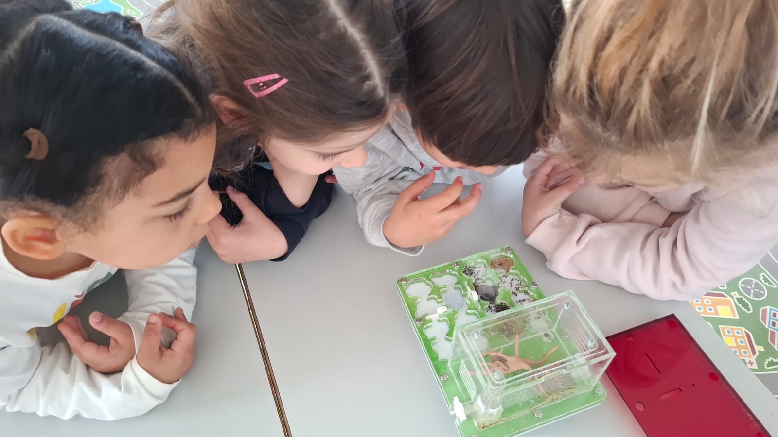 IMG-20260217-WA0056 IMG-20260217-WA0056