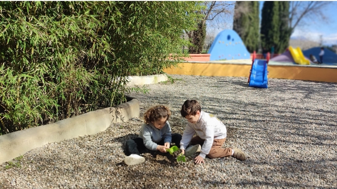 Screenshot_2026-02-16-20-32-21-142_com.miui.gallery-edit