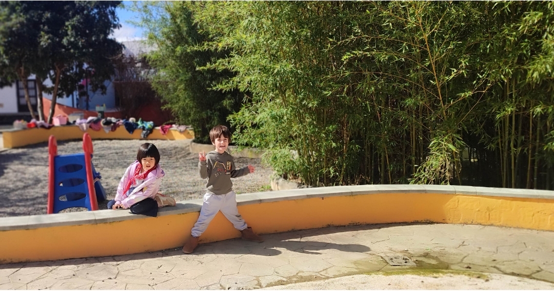 Screenshot_2026-02-16-20-32-33-688_com.miui.gallery-edit