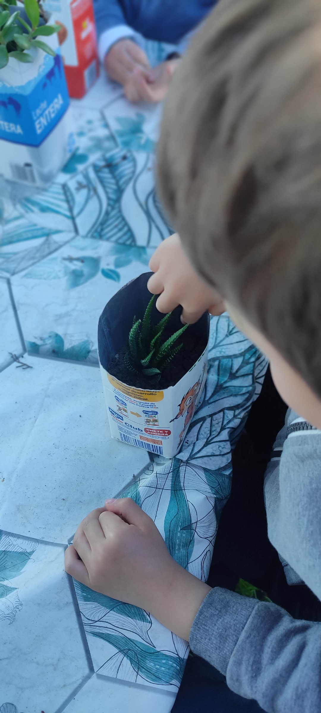 Screenshot_2026-02-27-00-35-08-536_com.miui.gallery