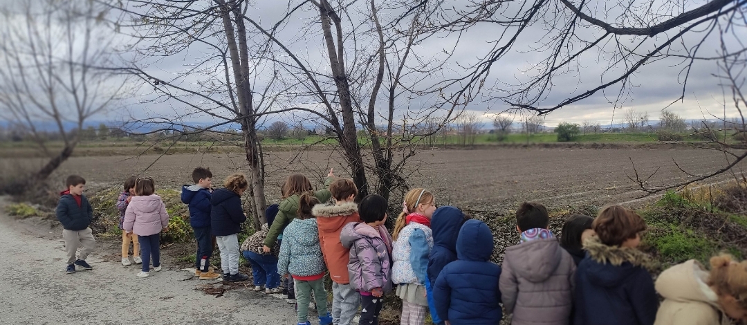 Screenshot_2026-03-12-22-52-10-847_com.miui.gallery-edit