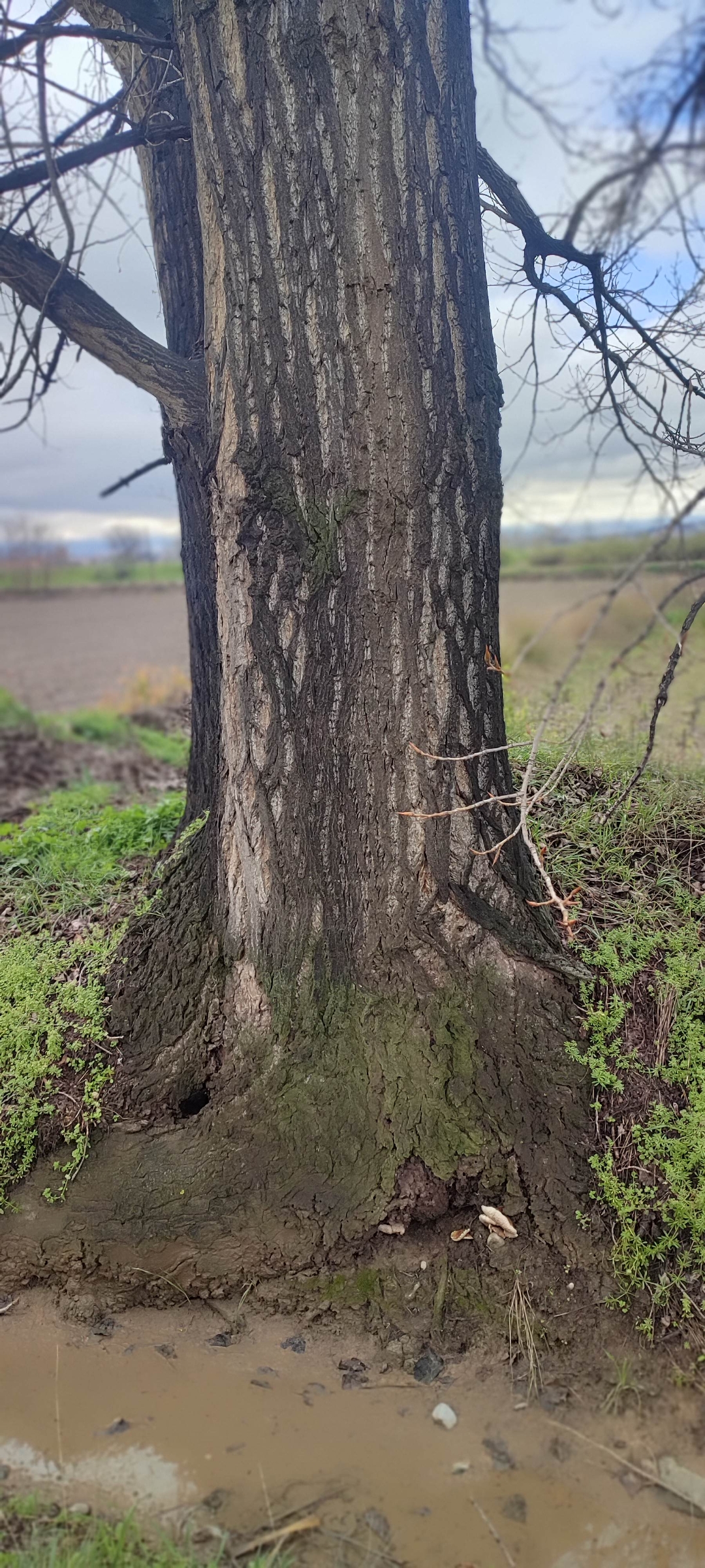 Screenshot_2026-03-12-22-52-26-296_com.miui.gallery