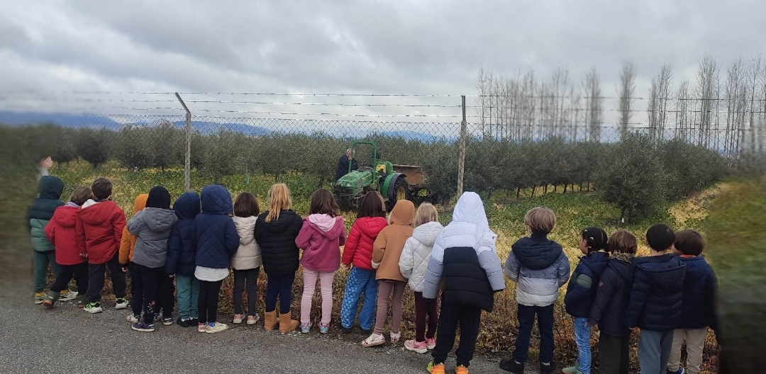 Screenshot_2026-03-12-22-53-33-377_com.miui.gallery-edit