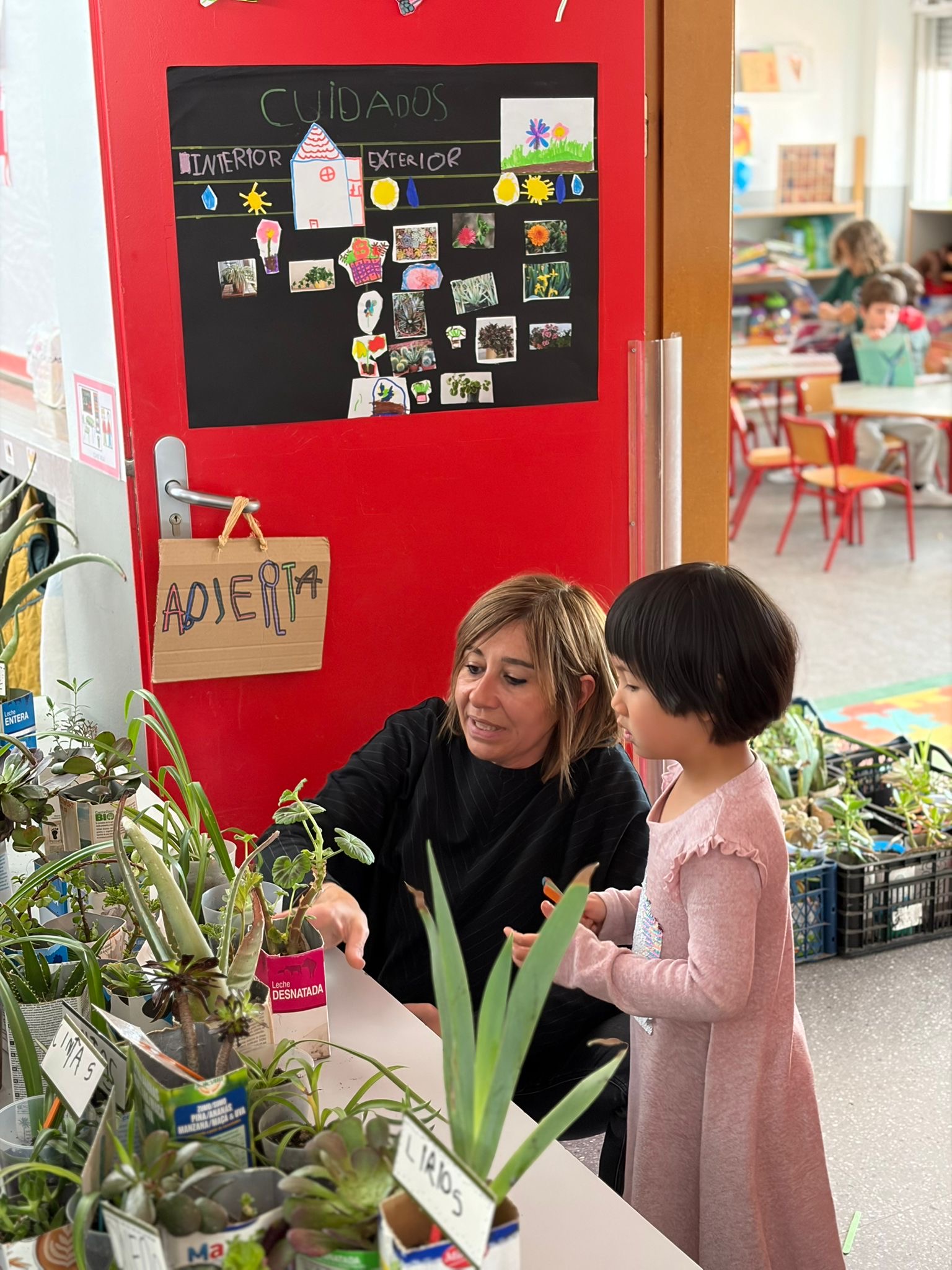 30d6c186-fc3c-4a06-8819-6f54c1e8b019