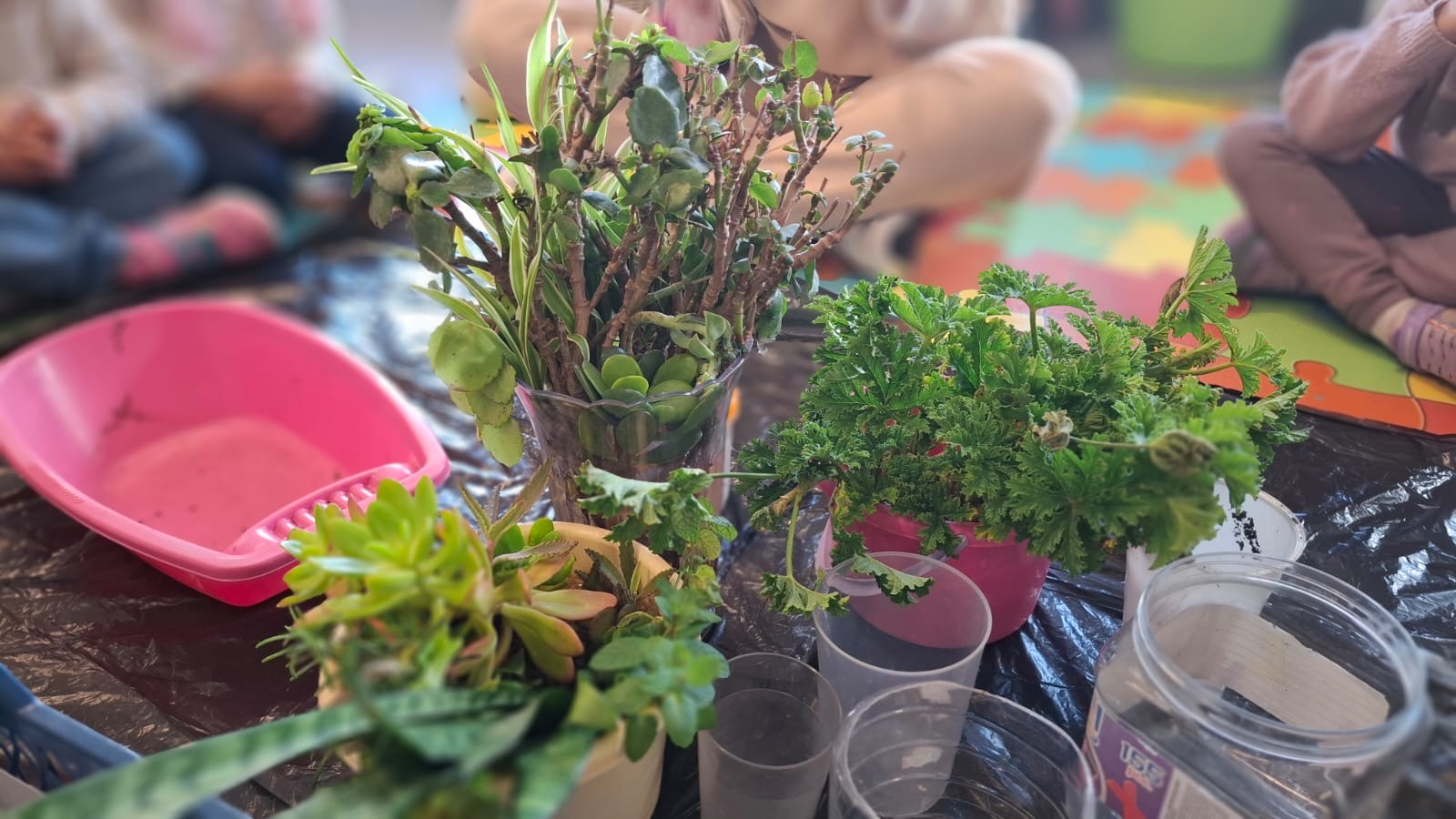 7809385d-9ec4-44e3-b0cc-2051e394d719