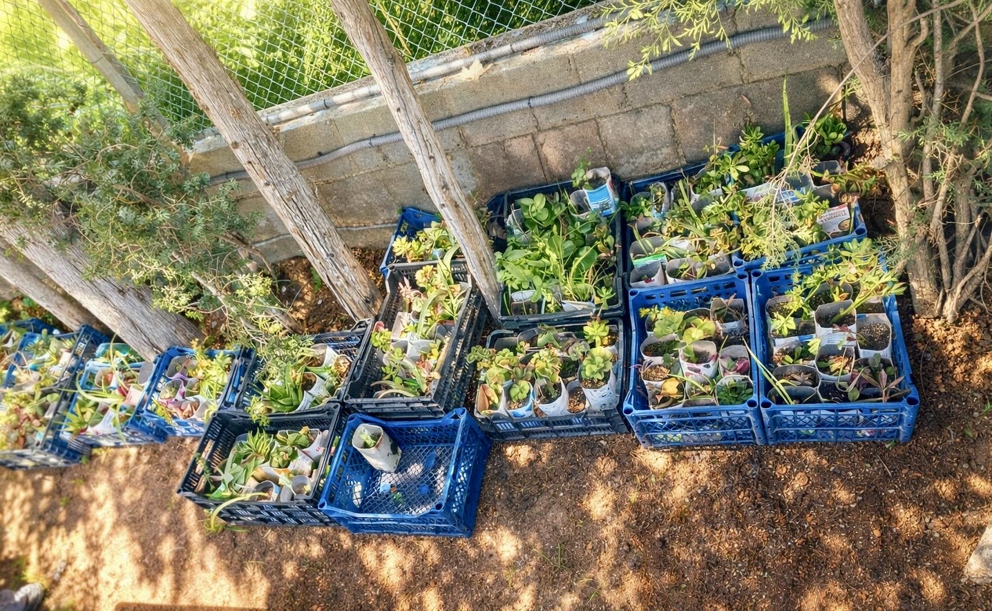 78e6d81e-c547-4f2d-bc07-d97fd884c925