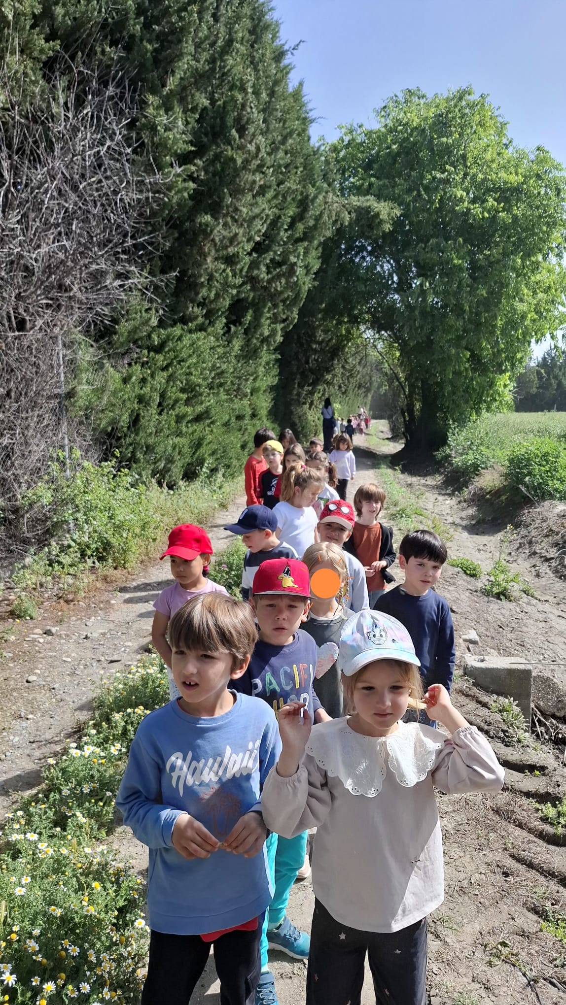 IMG-20260430-WA0044(1)