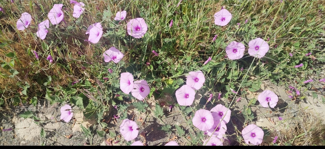 Screenshot_2026-04-29-21-49-25-730_com.miui.gallery-edit