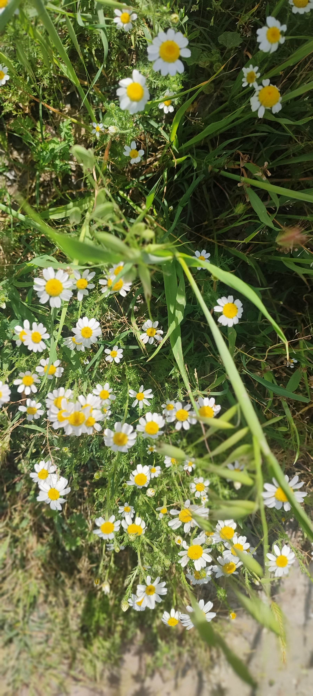 Screenshot_2026-04-29-21-50-52-520_com.miui.gallery Screenshot_2026-04-29-21-50-52-520_com.miui.gallery