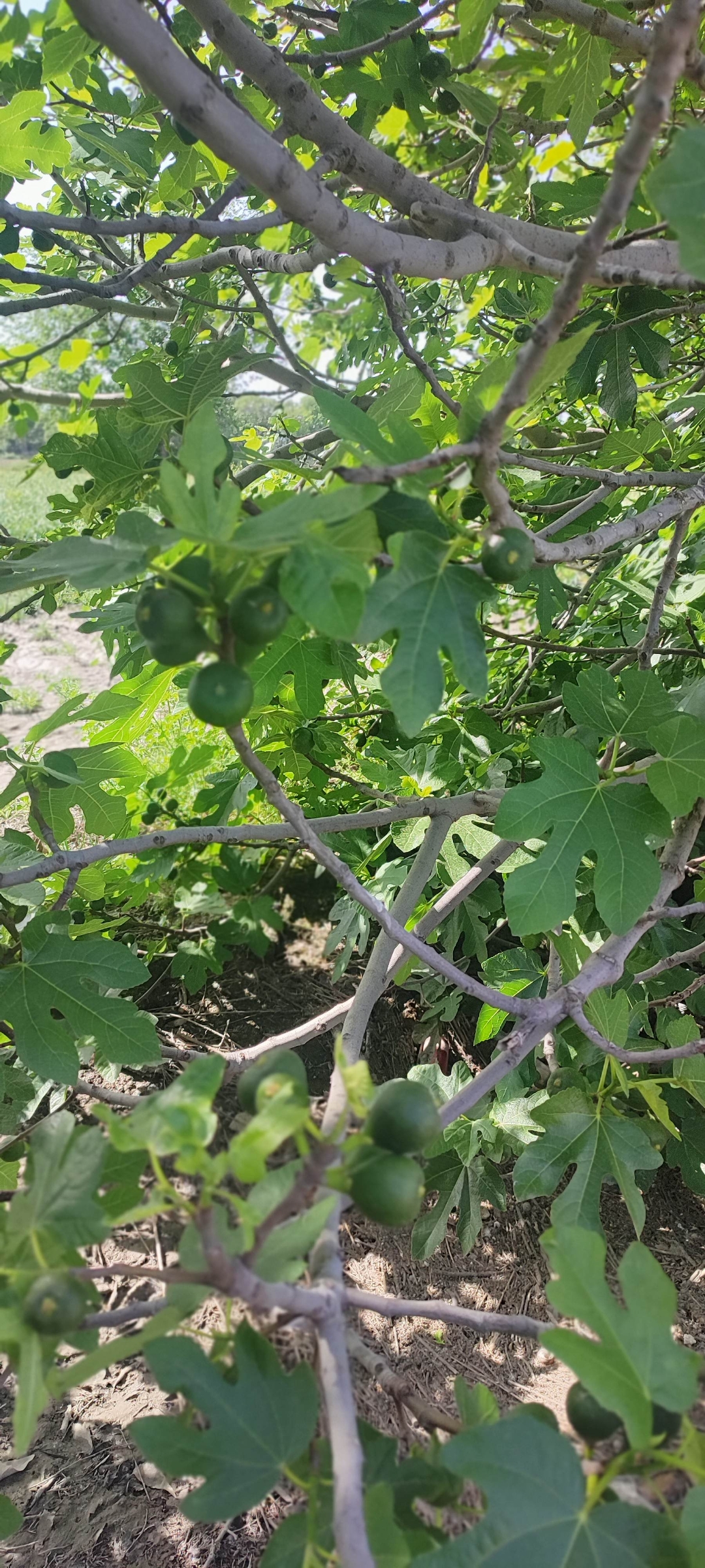 Screenshot_2026-04-29-21-51-00-119_com.miui.gallery Screenshot_2026-04-29-21-51-00-119_com.miui.gallery