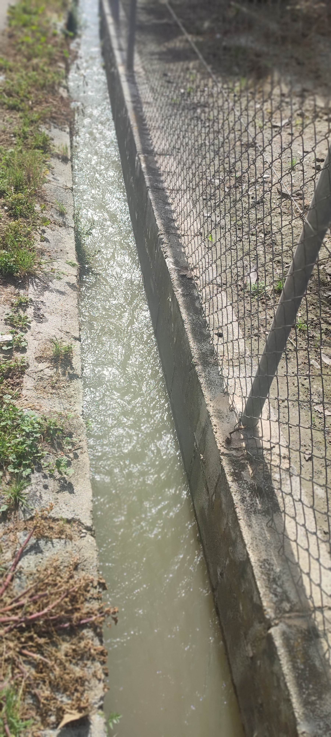 Screenshot_2026-04-29-21-51-25-317_com.miui.gallery