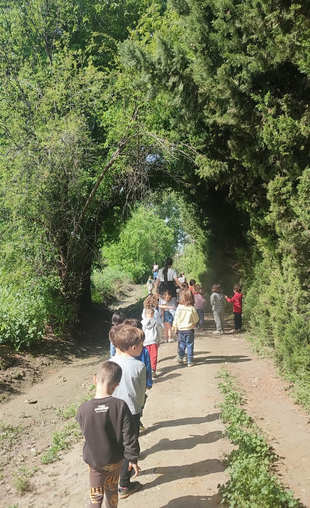 Screenshot_2026-04-29-23-24-36-152_com.miui.gallery-edit