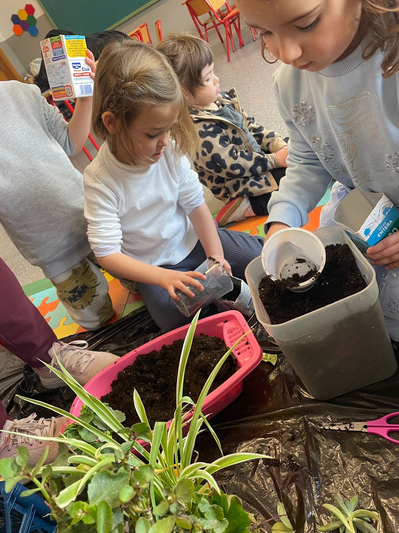 a5c5ba01-819a-4291-bd2b-e73db40b4ab8