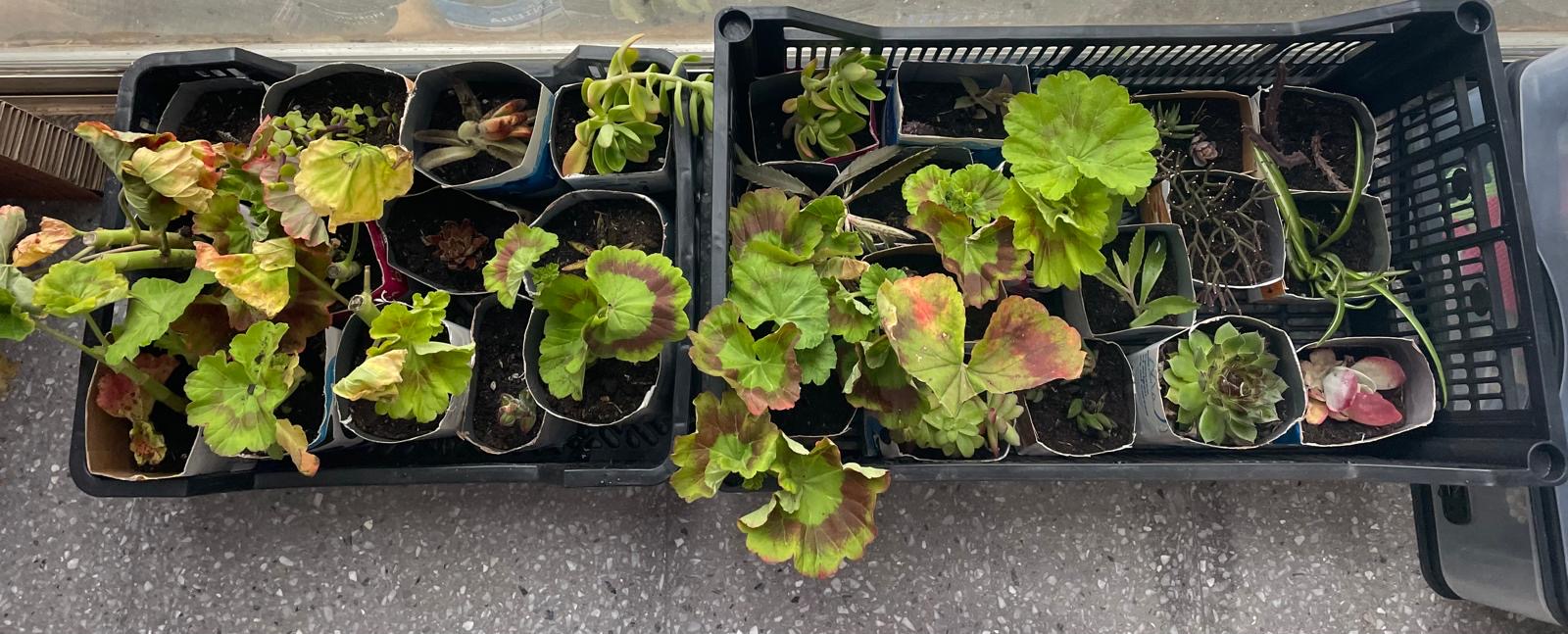 e0a30e45-15f5-4861-ab7a-5e88b3bbc48b