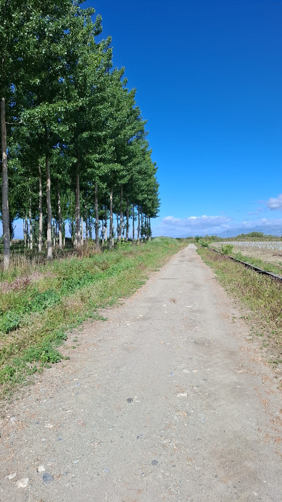 IMG-20260512-WA0009